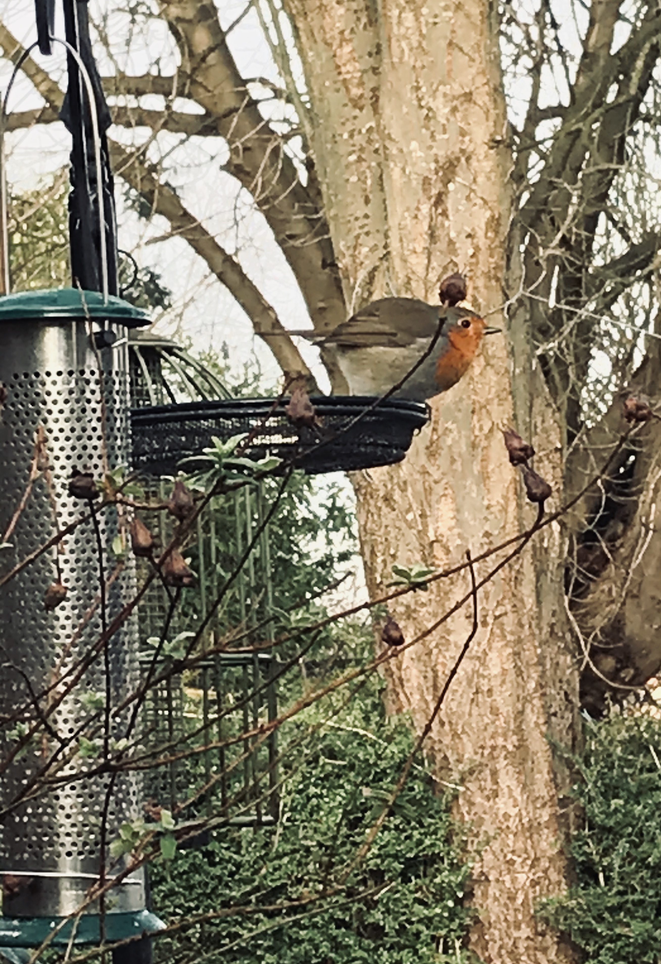 3459AB55-9889-4642-B6BC-B84782F74C3D_1_201_a